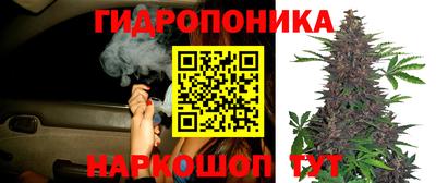 шишки Пенза