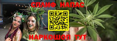 шишки Пенза
